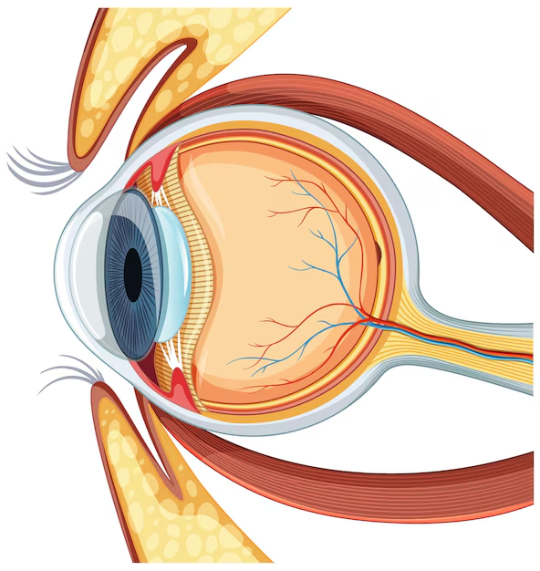 COMPLETE RETINAL SERVICES